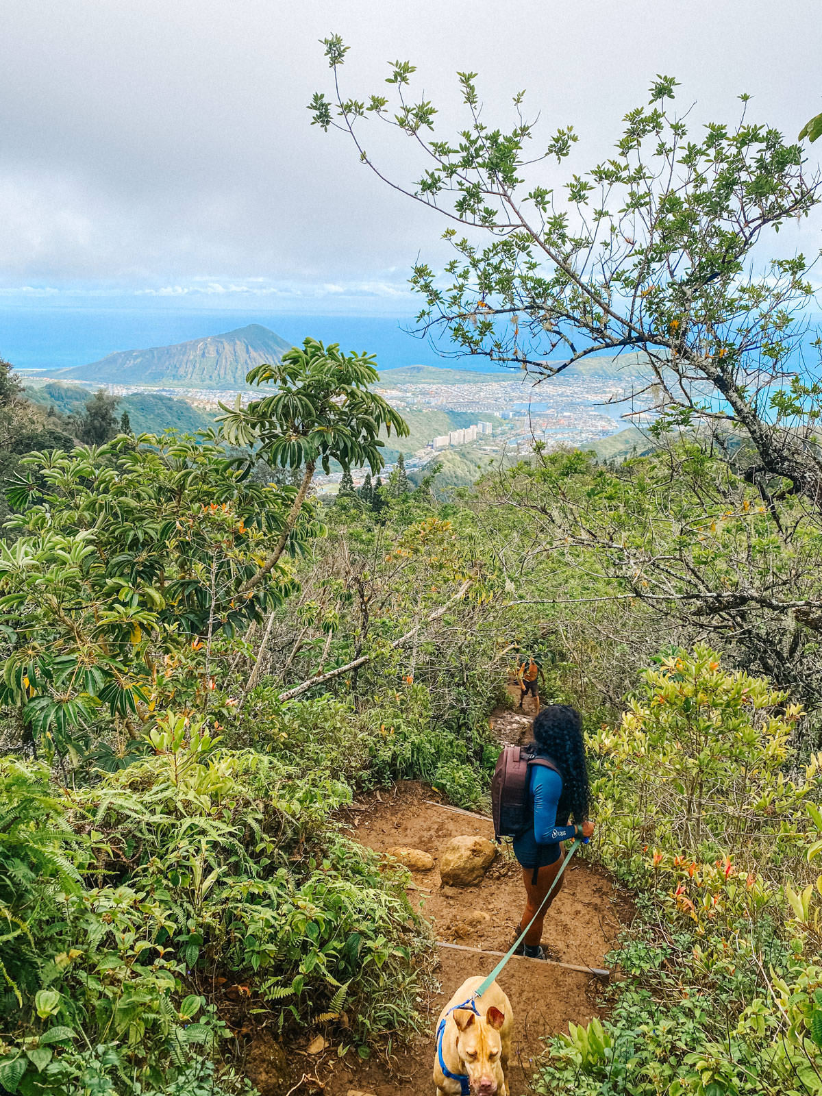 Woman hiking in Hawaii on Kuliouou Ridge