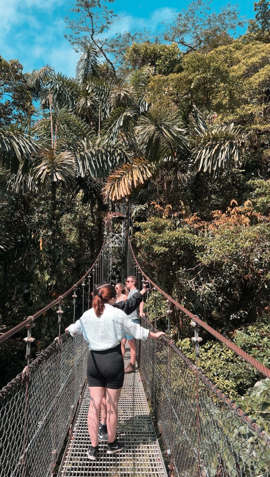 Walking on the hanging bridges of Mistico