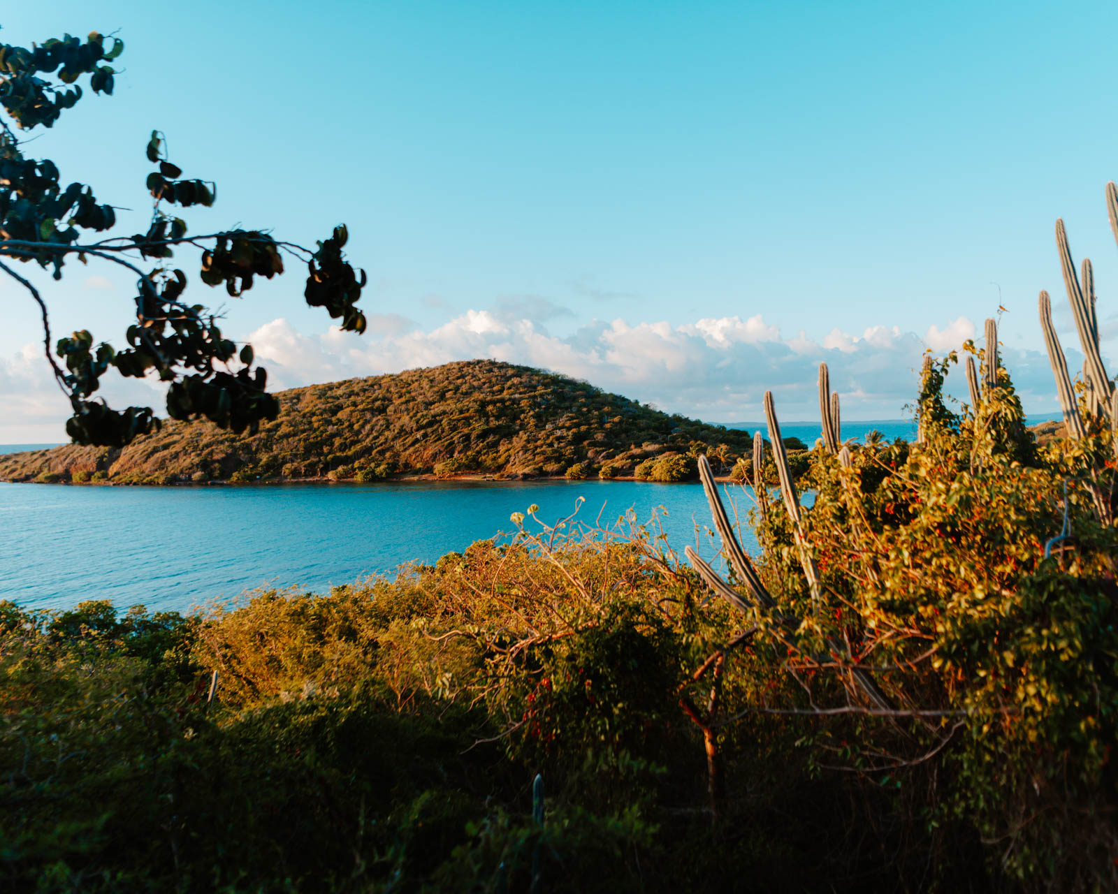 Scenic view of Puerto Rico coastline with turquoise water, green hills, and cacti under a clear blue sky

